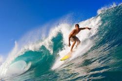 东契奇迎来二十赛季高光表现，FPX球迷沸腾！